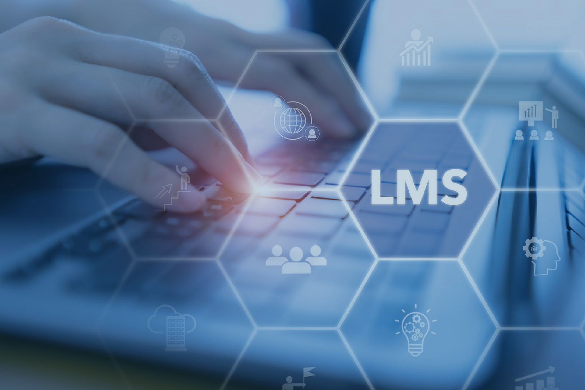 LMS Software vs Online Course Platforms