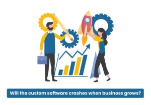 Custom software crashes