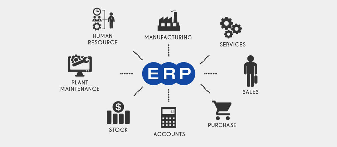 What Are The Typical Components Of ERP? A Business Accounting Software